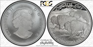 2013 $100 Bison Matte PR70