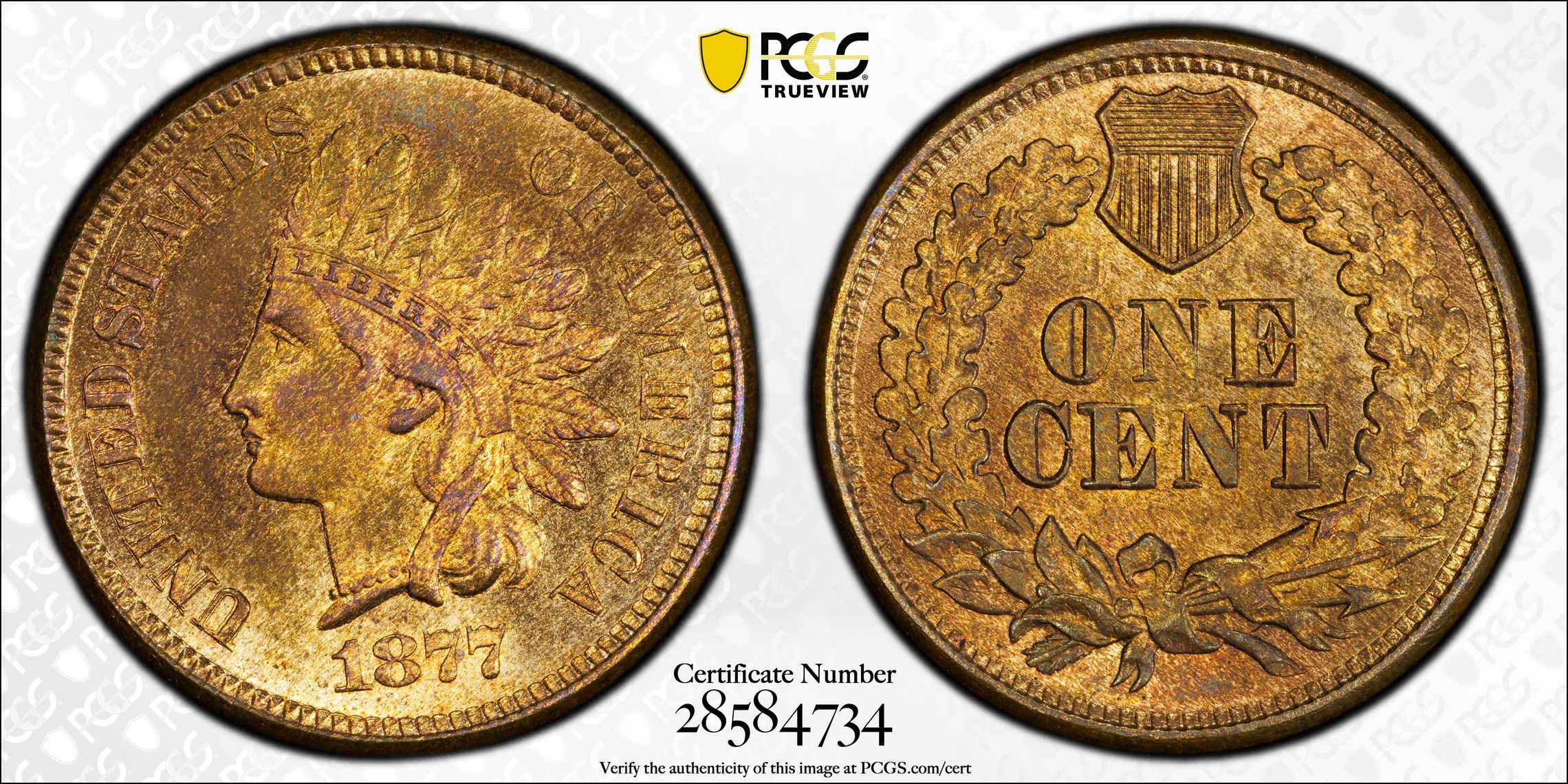 Indian Head Cents Complete Set - Circulation Strikes