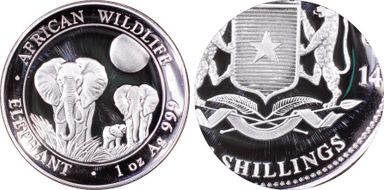 2014 100 S African Elephant MS69