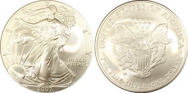 2007-W $1 Burnished Silver Eagle SP69
