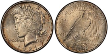 1924 $1 VAM 1G Wing Break MS63