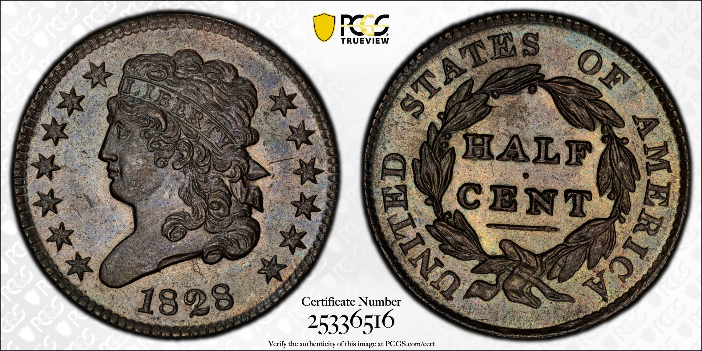 1828 P 13 Stars Half Cent