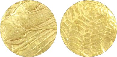 1921 $20 MS62