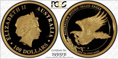 2014-P $100 Eagle High Relief PR69DCAM