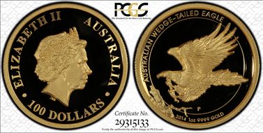 2014-P $100 Eagle High Relief PR70DCAM