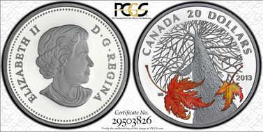 2013 $20 Maple Canopy Autumn - Colorized PR69DCAM