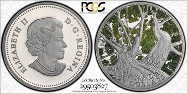 2013 $20 Maple Canopy Spring PR69DCAM