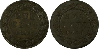 Various Various XF40BN