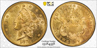 1876 $20 MS60