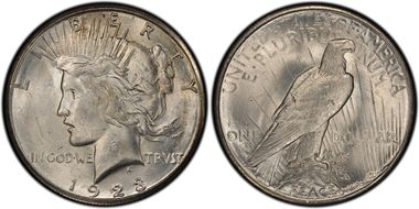 1923-S $1 VAM 1C, Pitted Reverse MS63