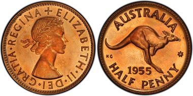 1955(p) 1/2D No Dot PR63RB