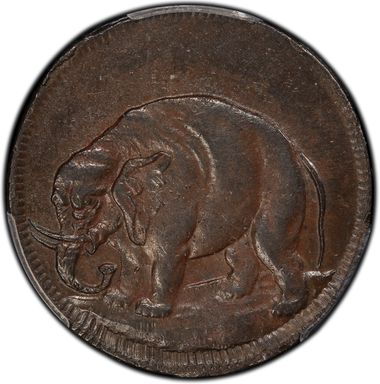 Cert 30363908 - Coin Image