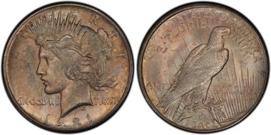 1921 $1 VAM 1F, Polishing Lines Peace MS64