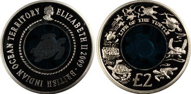 2009-PM £2 Life of the Sea Turtle PR68DCAM
