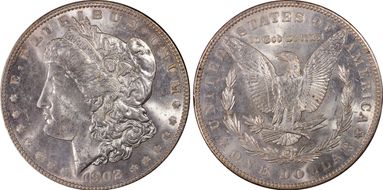 1902 $1 VAM 4, Doubled Ear MS63
