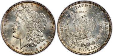 1878 8TF $1 MS66