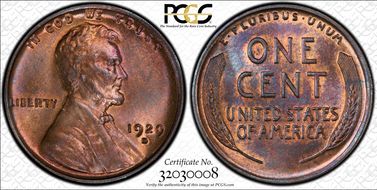 1929-D 1C MS66RB