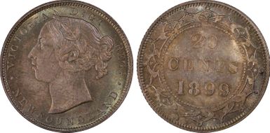 1899 20C Large 99 MS66