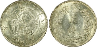 (1895) M28 20 Sen JNDA 01-21 MS63