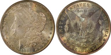 1900 $1 MS64