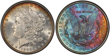 1886 $1 MS66