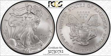 2007-W $1 Burnished Silver Eagle SP69