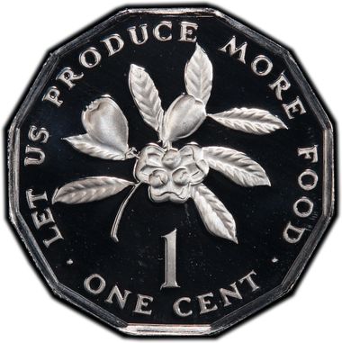 Cert 33384481 - Coin Image