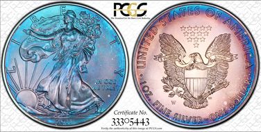 2011-W $1 Burnished Silver Eagle SP1