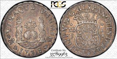 1738-Mo MF Real Calico-513 AU50