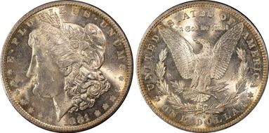 1881-S $1 MS65
