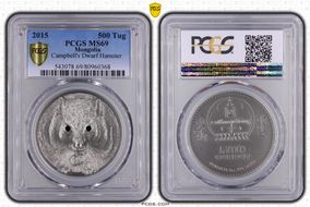 2015 500 Tug Campbell's Dwarf Hamster MS69