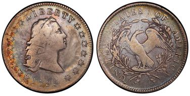 1795 $1 Flowing Hair, 3 Leaves N1
