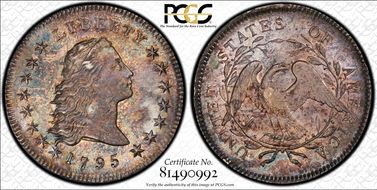 1795 $1 Flowing Hair, 2 Leaves MS62