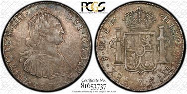 1791-PTS PR 8 R Calico-991 XF40