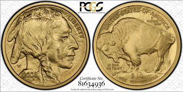 2008-W $10 Burnished American Buffalo .9999 Fine Gold SP70