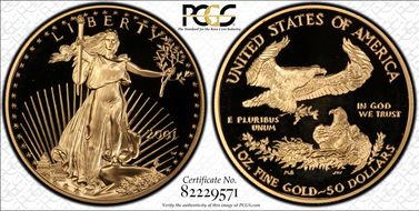 2001-W $50 Gold Eagle PR69DCAM