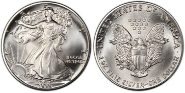 1989 $1 Silver Eagle MS70
