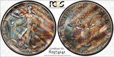 1989 $1 Silver Eagle MS66