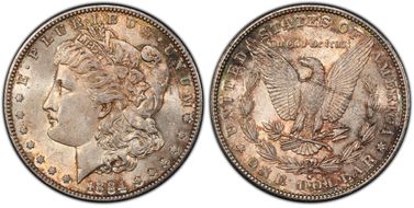 1884-S $1 MS61