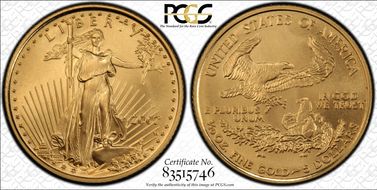 2007-W $5 Burnished Gold Eagle SP69