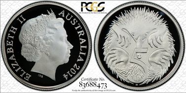 2014 5C Silver PR69DCAM