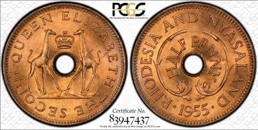 1955 1/2D MS66RD