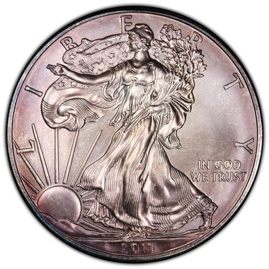 Cert 84065008 - Coin Image