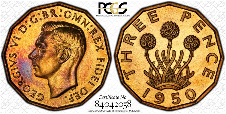 Cert 84042058 - Coin Image