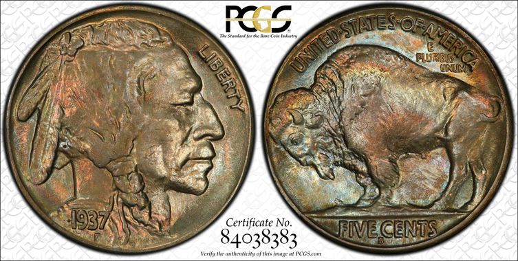 Cert 84038383 - Coin Image