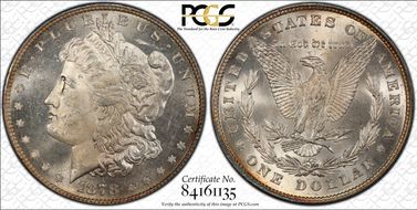 1878 8TF $1 VAM 4, Denticle Chip MS64