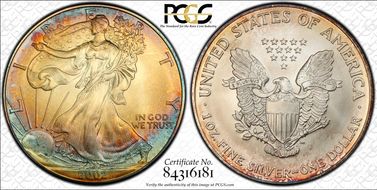 2002 $1 Silver Eagle MS67