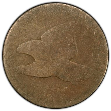 Cert 84732043 - Coin Image
