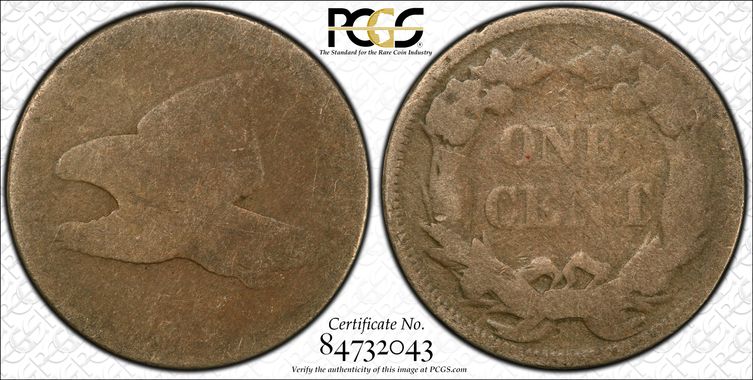 Cert 84732043 - Coin Image