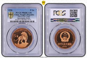 1996 5 Yn Sun-J37b3 Tiger Incomplete Rock PR68CAM